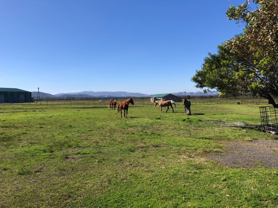 Commercial Property for Sale in Franskraal Western Cape